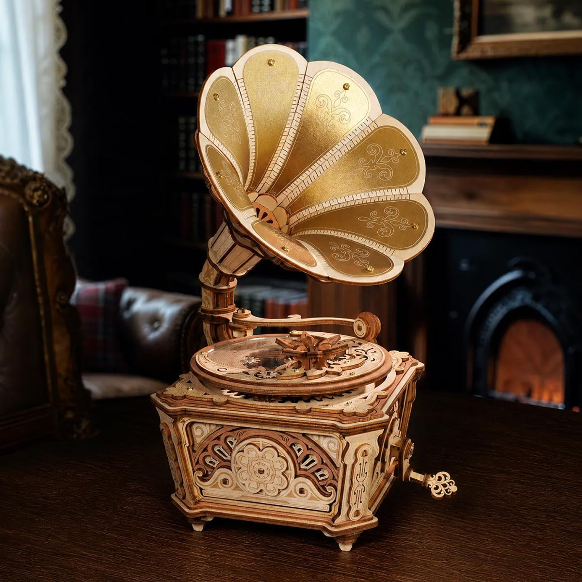 ROKR Diva Gramophone AMK82 - display setting