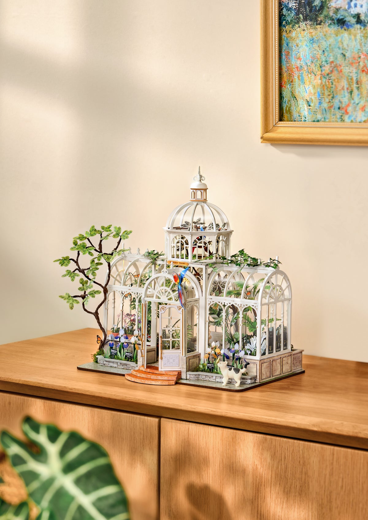 Rolife Oxygen Oasis DH102 - display setting, view 3