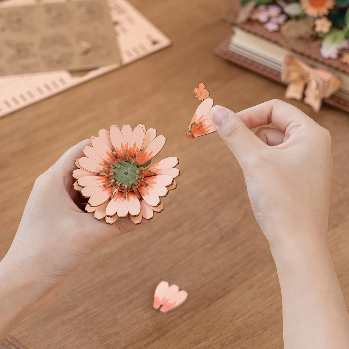 Assembly detail for Rowood Wooden Blooming Book TW04H gerbera daisy flower pieces
