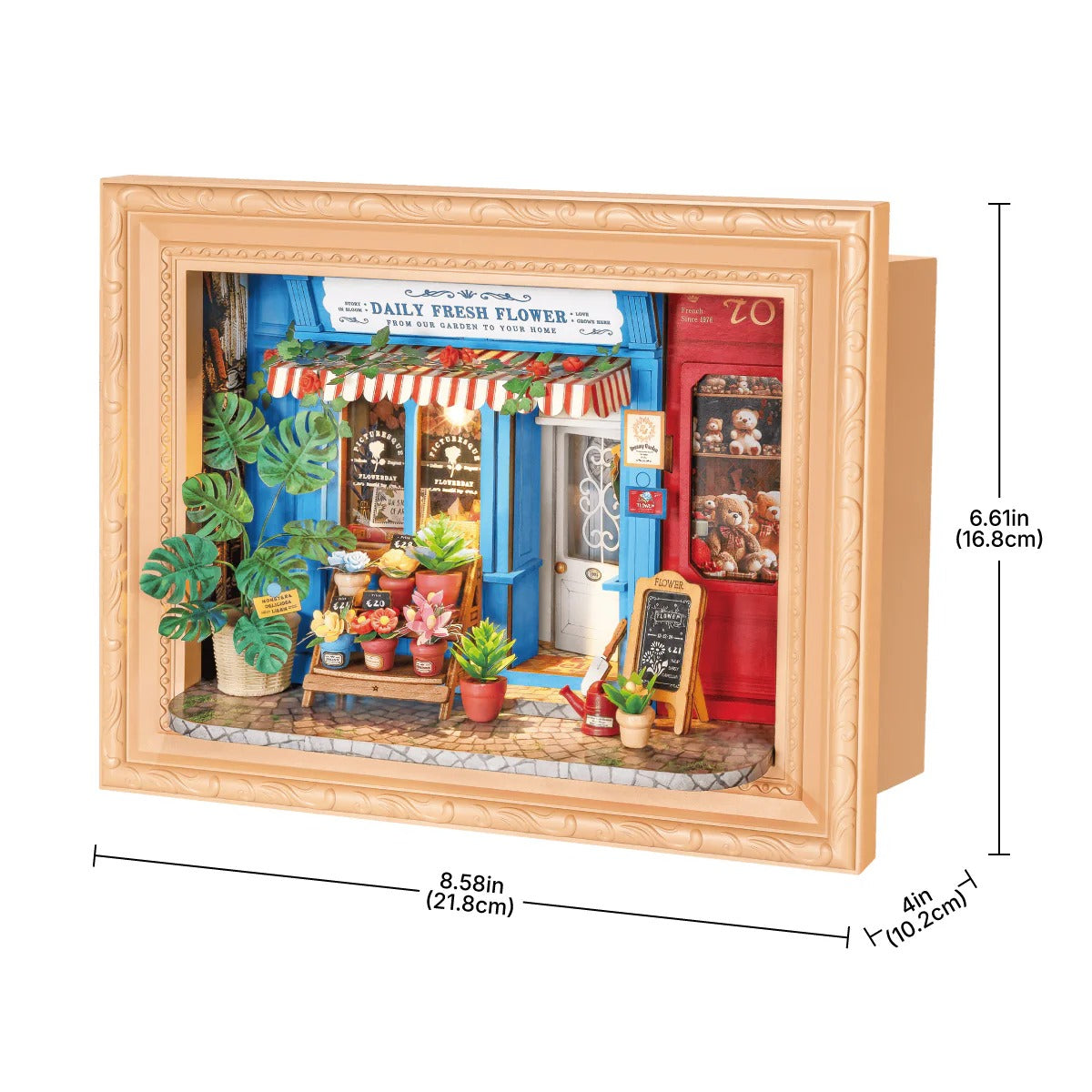 Rolife Daily Fresh Flower DP003 size guide showing assembled dimensions 21.8 x 10.2 x 16.8 cm for the flower shop shadow box frame