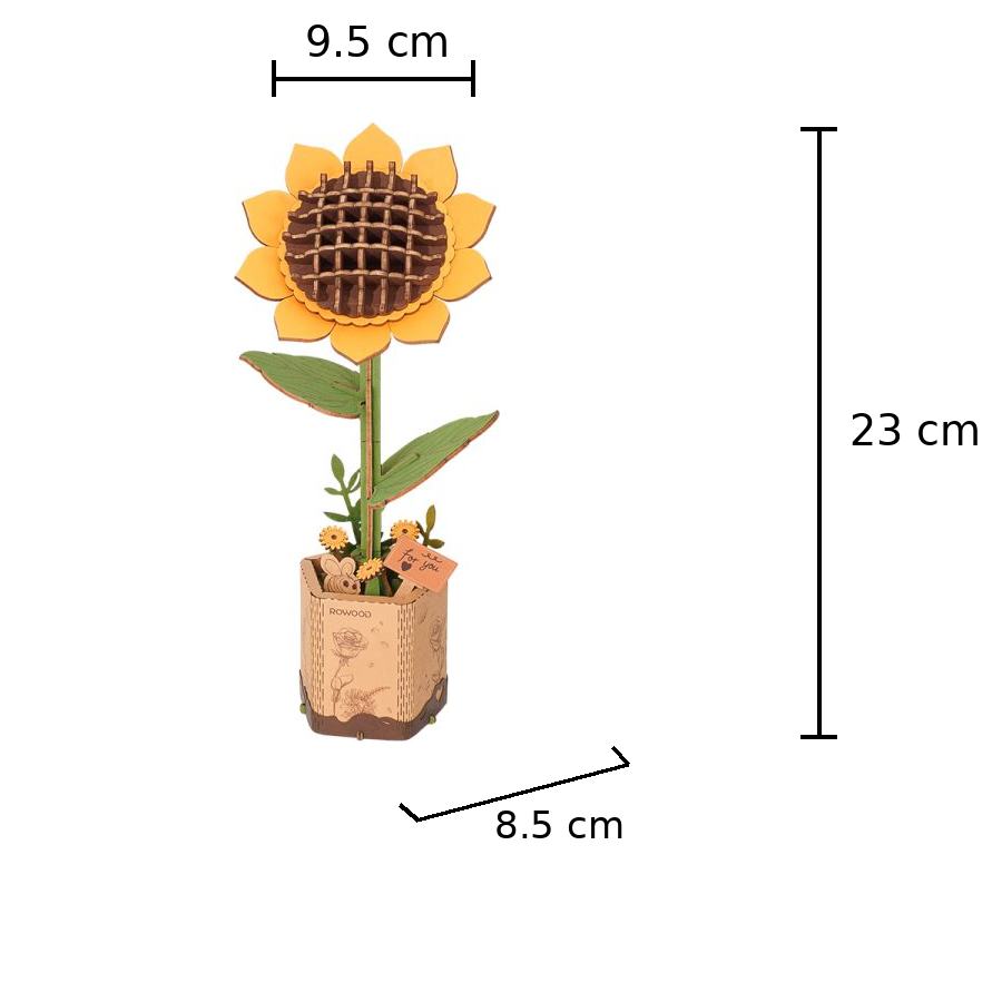Rowood Sunflower TW011 size guide showing 9.5 cm width, 8.5 cm depth, and 23 cm height