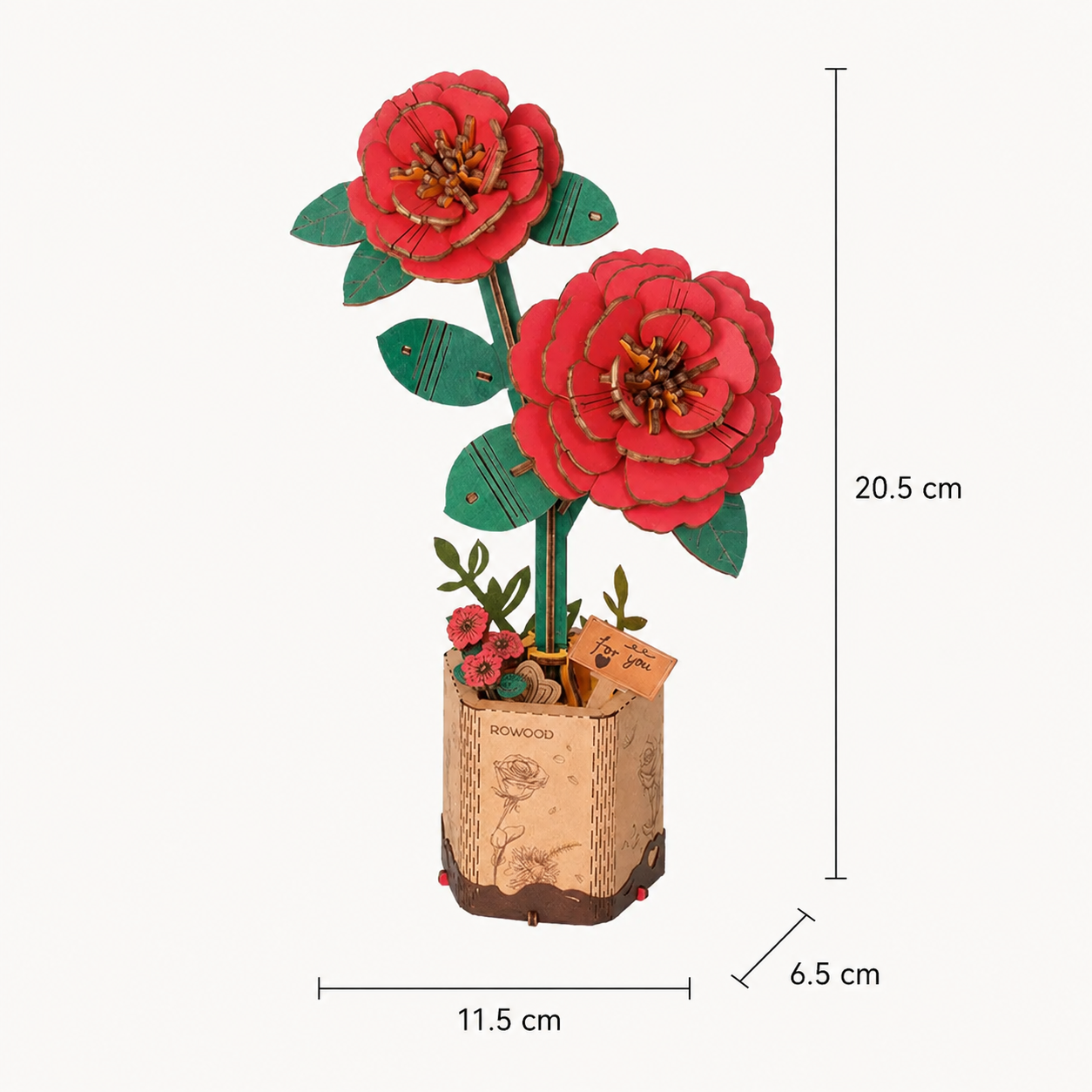 Rowood Red Camellia TW031 size guide showing 11.5 cm width, 6.5 cm depth, and 20.5 cm height