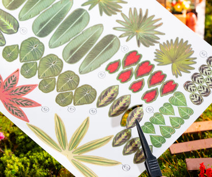 Rolife Cathy’s Flower House DIY Miniature House Kit (DG104) | 1:18 Scale