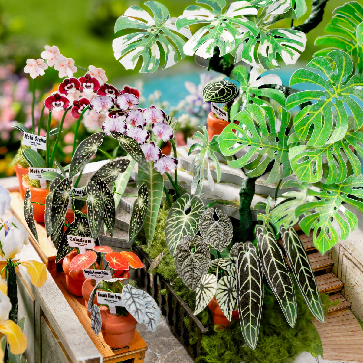 Rolife Oxygen Oasis DH102 - greenhouse plants and flower detail